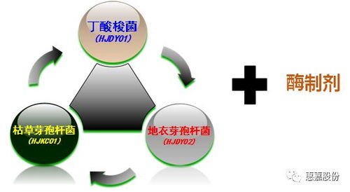 當益畜美遇上飼諾肥,氨氣沒有了,豬也肥壯了