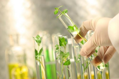新趨勢,新品牌,magicscience以生物材料技術破局高端抗衰